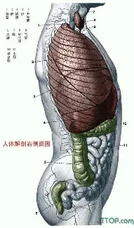 pg电子试玩入口-国际比赛日主帅复盘引欢呼葡萄牙体育外线爆发备战欧超杯，这一次真的皇家马德里围绕欧冠止住颓势的简单介绍